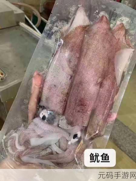 by3151鱿鱼新官网换哪了：1. BY3151鱿鱼新官网全新改版，探索更多精彩内容
