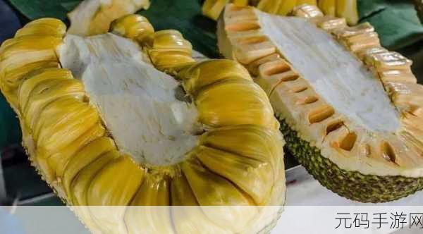 菠萝菠萝蜜视频在线观看高清1免费版：1. 菠萝菠萝蜜：探索热带果实的奇妙世界