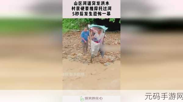 美国ZOOm动物仙踪林：1. 《探索神秘的ZOOm动物仙踪林奇遇记