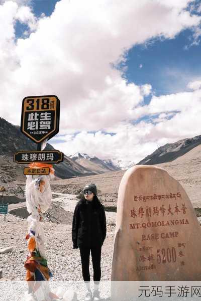 他的手放在了我的珠穆朗玛峰上：手放在珠穆朗玛峰上，探索心灵的高峰之旅