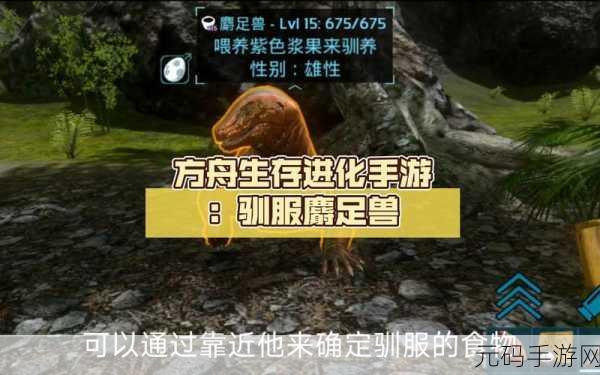 方舟生存进化巨猿驯服攻略与分布揭秘