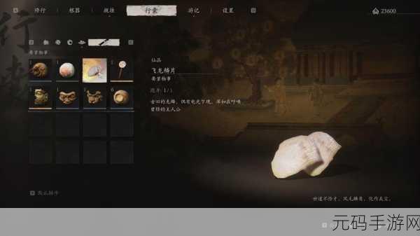 口袋妖怪复刻,中心之鳞片获取全攻略