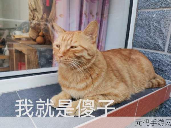 乡村傻子一杆枪闯天下视频:1. 《乡村傻子:一杆枪闯荡风云世界
