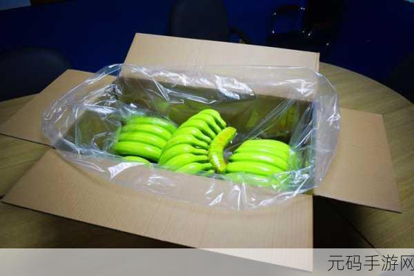 重庆香蕉人力资源管理有限公司:1. 重庆香蕉人力资源管理有限公司——助您企业腾飞的最佳伙伴