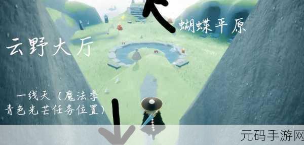 Sky光遇,探索全地图小树苗的奇妙之旅