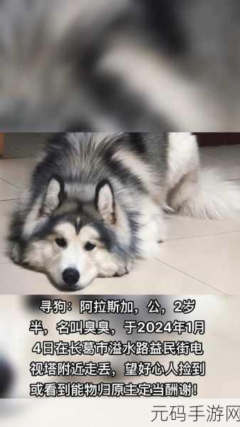 人or猪or狗已彻底下架老用户:1. "人、猪、狗已下架,探索新用户增长策略