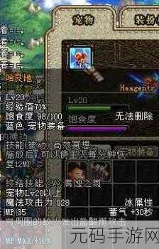 DNF手游稀有宠物哈帕斯,全面获取攻略大揭秘
