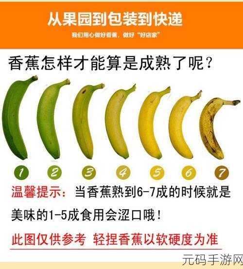 成品大香蕉煮小辣椒的产地:1. 从产地看成品大香蕉与小辣椒的独特风味