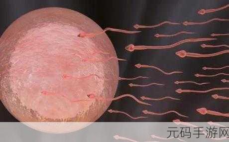 系统需要收集n多精子升级:好的,以下是一些关于精子收集与升级的标题建议,每个标题都不少于10个字: