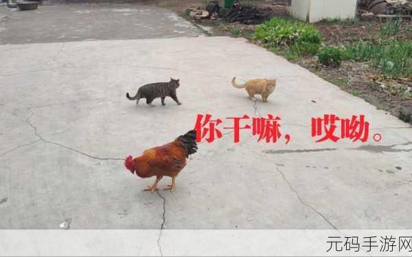 当你听到哎呦叫爸爸叫爹叫亲爹：1. ＂当你听到哎呦，感受到父爱的瞬间