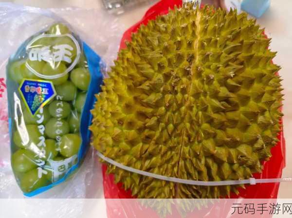 草莓秋葵向日葵丝瓜榴莲香蕉：1. 草莓与榴莲的奇妙味觉之旅