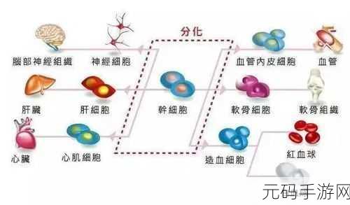 重生细胞,各关卡完美通关秘籍大揭秘