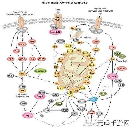 重生细胞,各关卡完美通关秘籍大揭秘
