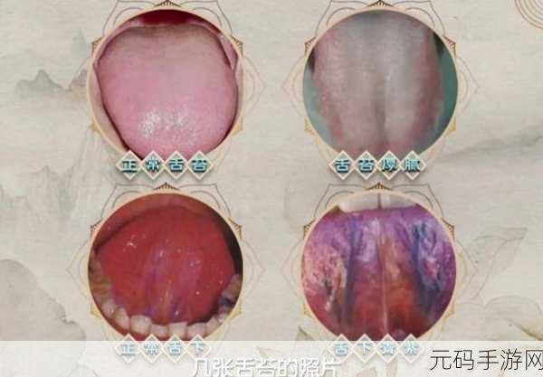 温热的舌头搅拌着疼怎么办:1. 温热舌尖的挑战与应对方法探讨