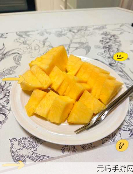 菠萝视频：1. 菠萝视频：探索全球美食与文化的奇妙之旅