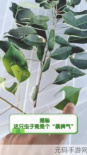 叔叔说我体内有虫子:1. 体内虫子真相揭秘:叔叔的警告引发思考