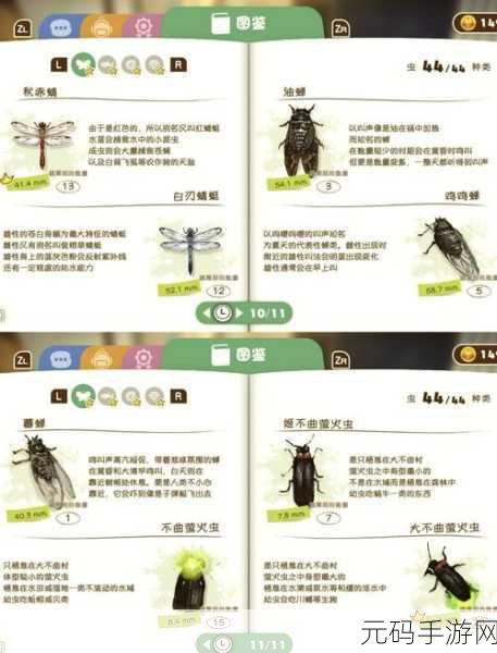星露谷物语,探寻神秘骨头山洞的方位指南