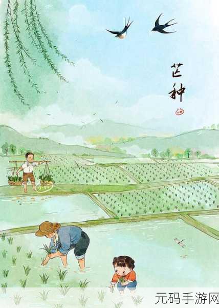插秧七十二招式图片：1. 插秧七十二招：田间艺术的精髓