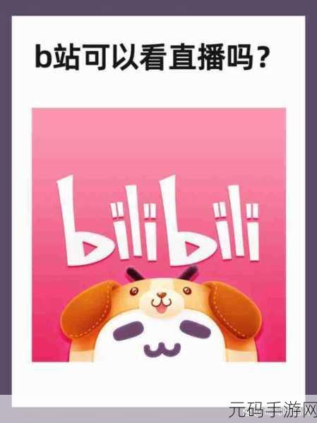 哔哩哔哩18免费进入:1. 哔哩哔哩18免费入口:畅享海量优质内容