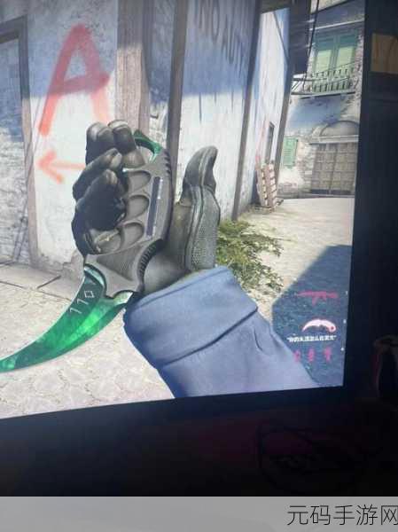 暴躁老姐的CSGO心得分享视频选择高清画质不用付费：1. 《暴躁老姐教你如何选择高清画质玩CSGO