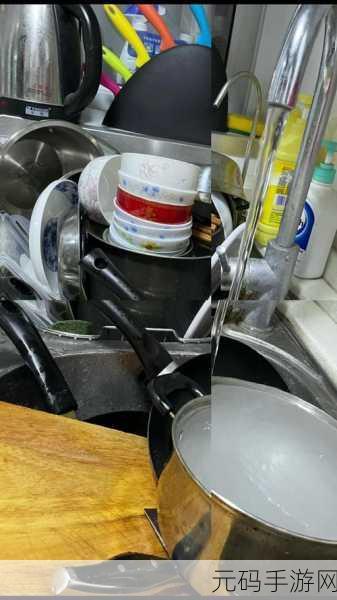 厨房一次又一次的索要刷碗总账单：厨房反复要求洗碗清单，背后的故事与启示