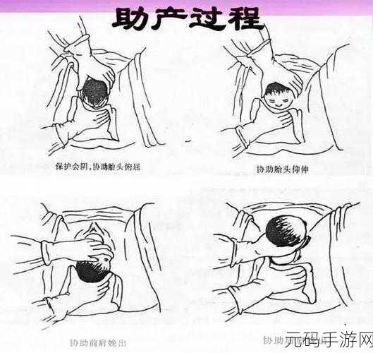 双腿间硬硬的胎头湿漉漉的挤出来的情况如何应对：1. 如何应对分娩时胎头露出带来的不适