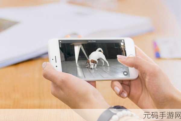 400个成品短视频:当然可以!以下是根据短视频主题拓展出的新标题,每个标题都不少于10个字: