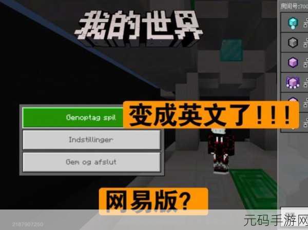 我的世界，全面解析效果英文与 ID 秘籍