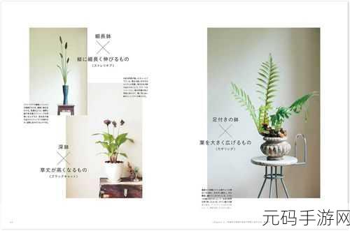 おとまりせっくす中文在线:当然可以,这里有一些基于“おとまりせっくす”主题的中文标题建议: