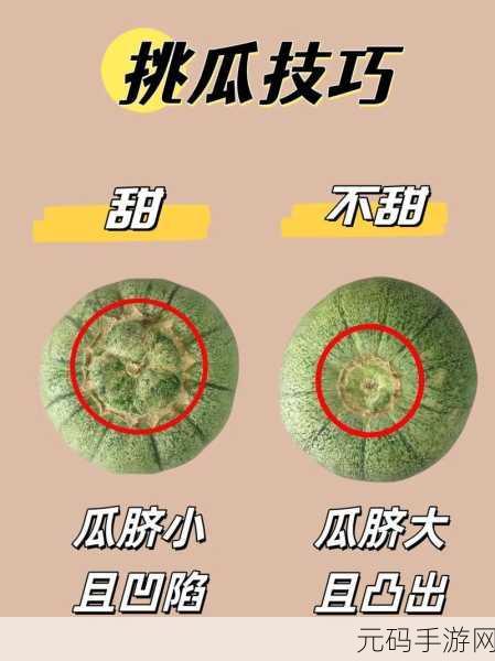 51CG热门大瓜今日吃瓜:1. 今日热搜:51CG背后的秘密大揭秘