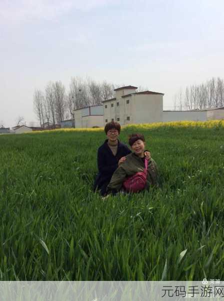 中国夫妇hometown：1. 探寻中国夫妇的故乡情怀与传统文化