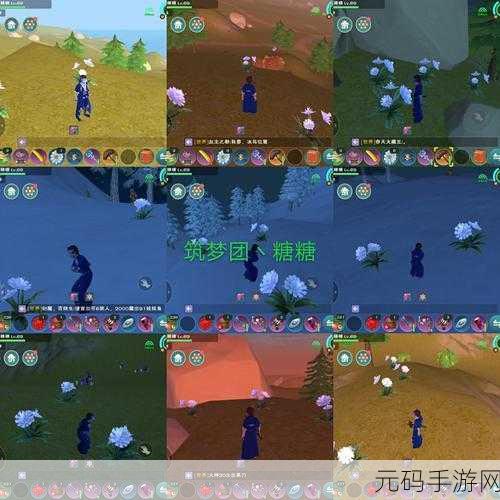 创造与魔法蓝色小花位置全揭秘,探索之旅即刻启程