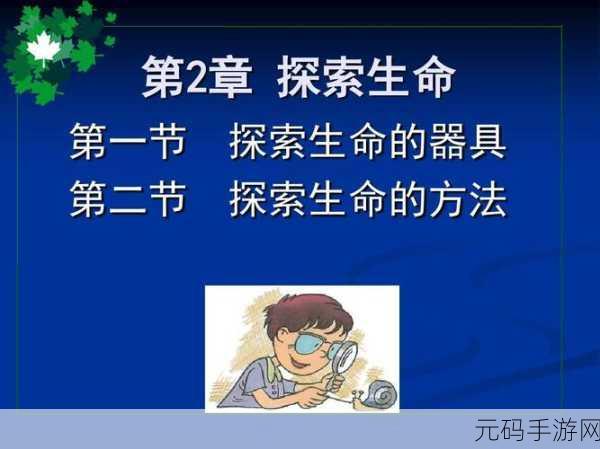 颈腰挺过那层薄膜:1. 颈腰之韵:穿越薄膜的生命探索
