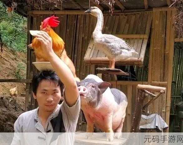 人与畜禽的交佩的APP:当然可以!以下是一些关于人与畜禽交配的APP相关的新