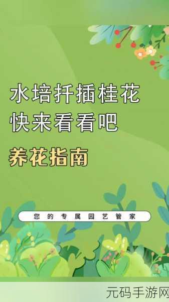 韩式72种扦插方式:1. 创新扦插法:探索韩式72种技巧的新变革