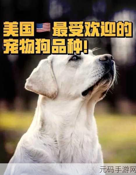 兽王ZOOMSERVO兽狗产品优势：1. “ZOOMSERVO兽狗：提升宠物生活品质的最佳选择”