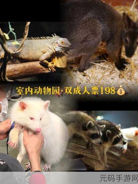 美国ZOOm动物仙踪林介绍:1. 探索美国ZOOm动物仙踪林的奇幻世界