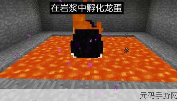 我的世界手游龙蛋孵化全攻略,带你开启神秘龙之旅