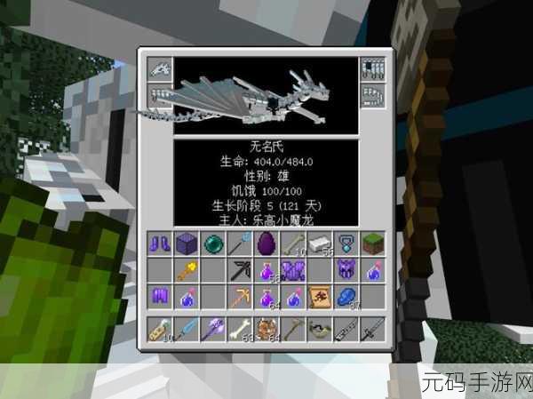 我的世界手游龙蛋孵化全攻略,带你开启神秘龙之旅