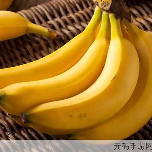 成品大香蕉煮小辣椒的产地:1. 探寻成品大香蕉与小辣椒的产地秘密