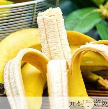 成品大香蕉煮小辣椒的产地:1. 探寻成品大香蕉与小辣椒的产地秘密