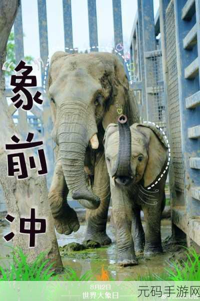 热烈｜满18点此安全转入2024大象：1. ＂热烈庆祝！迎接2024大象拓展新篇章