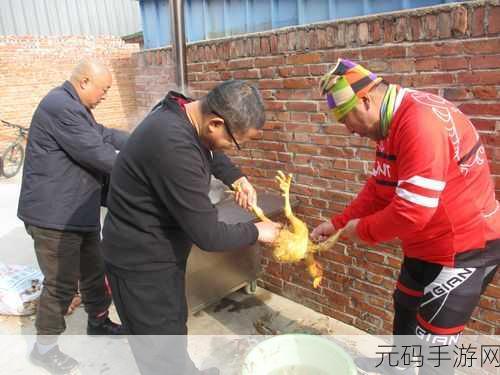 炖肉计-是今海棠软件被开放:炖肉计:探索海棠软件的无限可能与创新实践