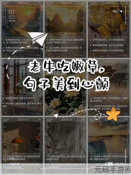 老牛嫩草一二三产品区别:1. 老牛嫩草:传统与现代的完美结合