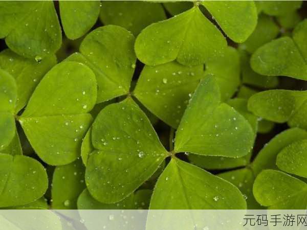 三叶草m欧洲码和天堂:1. 三叶草与天堂的奇妙交织:欧洲冒险之旅