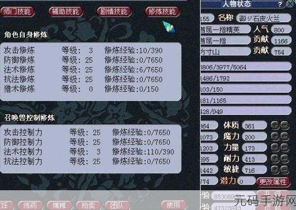 DNF玉选择指南，解锁角色潜能，属性效果性价比大揭秘
