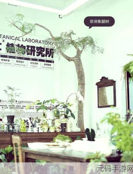 能不能在办公室干湿你：1. 办公室环境：如何有效管理干湿交替带来的挑战