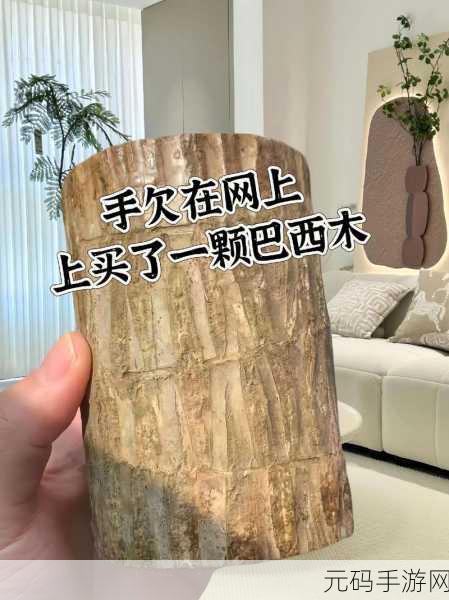 能不能在办公室干湿你：1. 办公室环境：如何有效管理干湿交替带来的挑战
