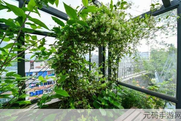 大手到了秘密小花园：1. 《秘密小花园的神秘探险之旅