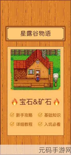星露谷物语，解锁宝石能量，打造专属时尚新篇章